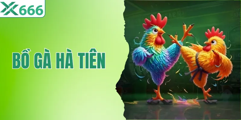 Khám Phá Các Đặc Điểm Nổi Bật Của Bồ Gà Hà Tiên Tại TX666