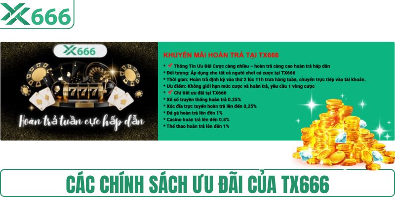 Các chính sách ưu đãi của TX666
