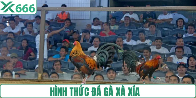 Các kiểu đá gà chính tại khu vực Xà Xía