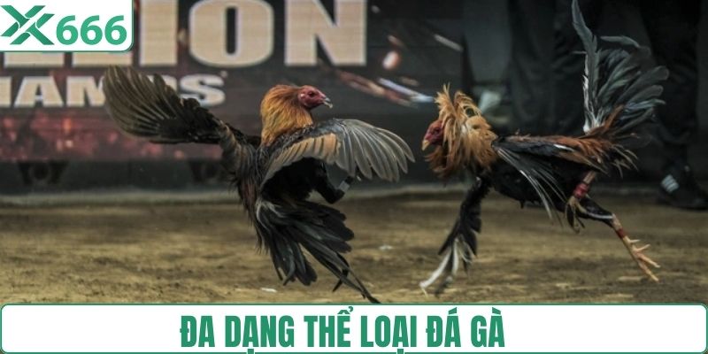 Đa dạng thể loại đá gà