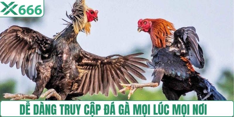 Dễ dàng truy cập vào các nền tảng