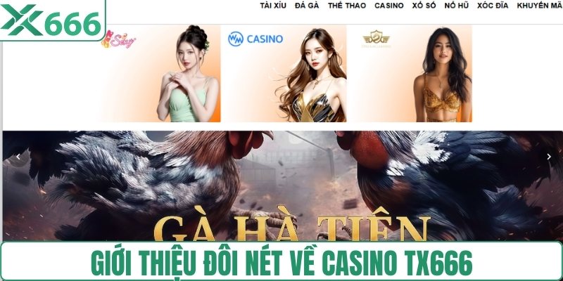 Giới thiệu đôi nét về casino TX666