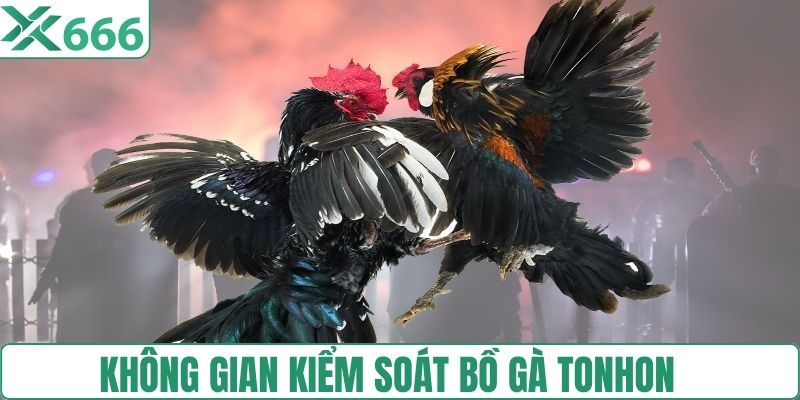 Không gian kiểm soát bồ gà Tonhon chuyên nghiệp