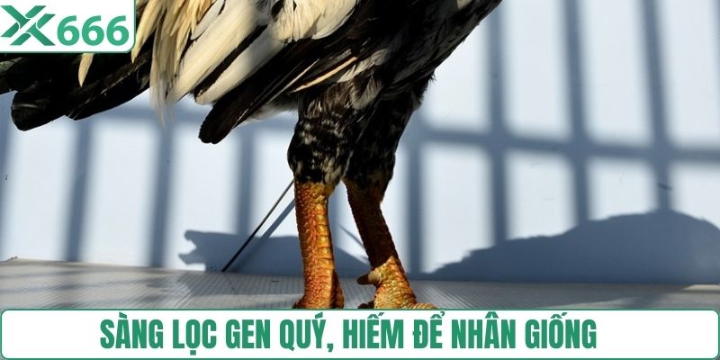 Sàng lọc gen quý, hiếm để nhân giống